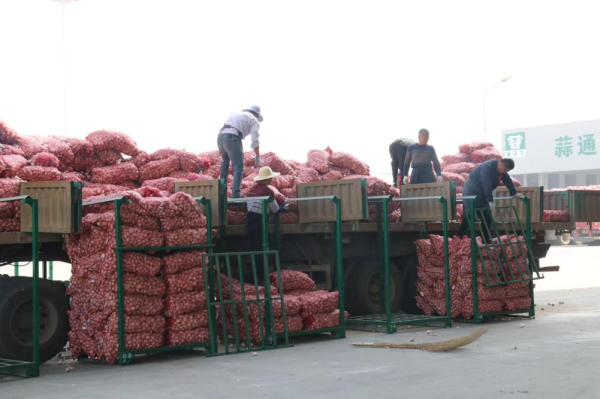 永华证券 蒜仓变“钱仓”！恒丰银行仓单质押为金乡农企注活水